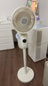 西屋（Westinghouse）空氣循環(huán)扇家用電風(fēng)扇落地扇輕音節(jié)能臺(tái)立兩用電扇渦輪換氣對(duì)流風(fēng)扇WTH-XH020 曬單實(shí)拍圖