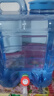 拜杰水桶手提式純凈水桶礦泉水桶飲水桶帶龍頭大容量自駕游戶外儲水桶 戶外食品級pc材質(zhì)【20升+水管】 曬單實拍圖