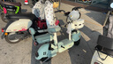 臺鈴電動自行車【國家補(bǔ)貼】小錦鯉50公里長續(xù)航電動車鉛酸電池48V13Ah電瓶車新國標(biāo)碧波綠 曬單實(shí)拍圖