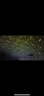 羅帕德（Noparde）動態(tài)螢火蟲激光燈星空投影鐳射燈餐廳酒吧景觀亮化草坪樹庭院氛圍 30W全彩+防水帶控-覆蓋80-150平 曬單實拍圖
