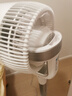 艾美特（AIRMATE）“白天鵝Plus”空氣循環(huán)扇電風扇負離子凈化32檔直流變頻家用一級能效輕音落地扇電扇 FA23-RD76 曬單實拍圖