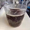 北京同仁堂白蕓豆左旋肉堿黑咖啡0添蔗糖0脂0肥速溶減燃咖啡全身卡瘦 買1送1【可泡80包】高燃速減咖啡 曬單實拍圖