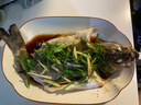 鮮活沖浪大鱸魚600-750g/條 曬單實拍圖