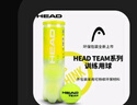 海德（HEAD）網(wǎng)球ball比賽訓練用球單人練習訓練專(zhuān)業(yè)TEAM無(wú)壓有壓網(wǎng)球 曬單實(shí)拍圖