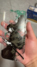 電小嘟 鬼滅之刃適用蘋果15promax動漫手機(jī)殼iphone14plus二次元13潮酷12防摔全包11卡通xr定制帥酷7/8 【鬼滅之刃】太空殼 iPhone 15Promax 曬單實(shí)拍圖