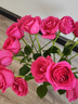 玫瑰花云南鮮花批發(fā)真花家用鮮花插瓶水養節日禮物玫瑰鮮花 弗洛伊德玫瑰18+2枝防損耗 曬單實(shí)拍圖