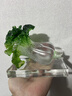 琉璃玉石工藝品翡翠大白菜百財(cái)擺件客廳裝飾招財(cái)高檔輕奢定制禮品 百財(cái)如意（中號(hào)） 贈(zèng)送高檔水晶底座 曬單實(shí)拍圖
