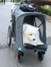 beberoad大型寵物推車輕便可折疊一鍵收車大型犬外出金毛柴犬哈士奇可拖單 灰色R8四輪版  順豐快遞 曬單實拍圖