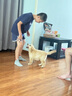 Champion【涼感科技】冠軍男女童短袖T恤2025夏季新款大小童親子裝上衣 曬單實拍圖