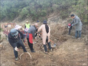 五羊本田移樹起樹機小型挖樹機起苗機挖土挖坑機神器汽油鎬刨樹機汽油鎬 四沖程140cc機器+黃金鏟+中鏟+長鏟+破碎 曬單實拍圖