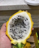 京蚨鮮海南燕窩果麒麟果黃色火龍果新鮮水果禮盒中秋節(jié)禮盒 2斤禮盒【單果2-3兩】 曬單實(shí)拍圖