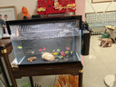 AMTRA TECHNIK德國(guó)安彩壁掛過(guò)濾器ex350小型魚(yú)缸過(guò)濾器烏龜缸壁掛式凈水 EX350 標(biāo)準(zhǔn)版【內(nèi)含濾材】 曬單實(shí)拍圖