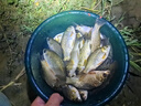 佳之釣漂盒三層多功能浮漂盒51cm大容量線盒主線魚漂盒套裝 55cm透明漂盒硅膠線圈+禮包2 曬單實(shí)拍圖