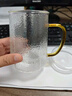 雅集筑茗玻璃茶杯茶水分離玻璃杯帶蓋帶玻璃內(nèi)膽辦公家用耐熱泡茶杯 曬單實(shí)拍圖
