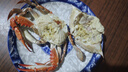 【鮮活發(fā)貨】尚致青島梭子蟹鮮活螃蟹梭子蟹活蟹海蟹飛蟹禮盒 【品質(zhì)鮮肥】超大3斤(6-9只)公母混發(fā) 曬單實(shí)拍圖