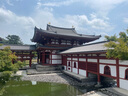 日本上網(wǎng)卡電話卡高速流量卡4G網(wǎng)絡(luò)sim卡7天10GB總量套餐 曬單實(shí)拍圖