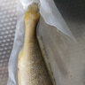 GUO LIAN國聯(lián) 三去黃花魚(yú)2條 共凈重2斤國產(chǎn)寧德東海大黃魚(yú) 海鮮水產(chǎn)生鮮 曬單實(shí)拍圖
