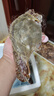 海澤鮮 舟山梭子蟹當(dāng)季鮮活 液氮瞬凍大規(guī)格梭子蟹冰鮮活凍大螃蟹 5斤 凈重*7-9兩/只 【個(gè)大肉多】 曬單實(shí)拍圖