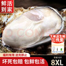 龍味?！净铛r】生蠔 乳山牡蠣 新鮮海蠣子生鮮貝類 【稀有超大號(hào)】7XL帶箱10斤生蠔 曬單實(shí)拍圖