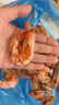 海鮮頌即食大蝦干烤蝦干蝦仁干海蝦干海產(chǎn)干貨零食干蝦海鮮特產(chǎn)源頭直發(fā) 烤蝦干XL 凈重500g 曬單實拍圖