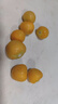 東北姑娘果新鮮當(dāng)季水果黃菇娘燈籠果酸甜可口甜菇娘特產(chǎn)京東包郵 【帶箱5斤】東北姑娘果 曬單實拍圖