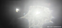 海拉（HELLA）汽車(chē)LED大燈9005汽車(chē)燈泡HB3前照燈遠光近光激聚6500K亮光白光泡 曬單實(shí)拍圖