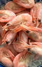 美加佳熟凍北極甜蝦腹籽凈重3斤 90/120規(guī)格  海鮮水產 熟凍甜蝦 曬單實拍圖