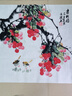 純手繪國畫小品裝飾畫客廳餐廳玄關(guān)電表箱掛畫寫意花鳥畫定制字畫 荔枝 50*50厘米宣紙畫芯 曬單實拍圖