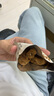 詹記桃酥新中式糕點(diǎn)點(diǎn)心零食休閑手工餅干巧克力原味紅茶味下午茶 【780g/3盒】招牌原味+紅茶桃酥+巧克力桃酥 曬單實(shí)拍圖