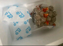 BESTHOME家好正宗潮汕牛肉丸250g/包牛丸少爺牛筋丸子火鍋關(guān)東煮燒烤食材 【4斤】牛肉丸4包+牛筋丸4包 曬單實(shí)拍圖