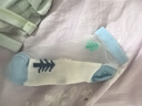 六指鼠兒童襪子男童寶寶水晶襪冰絲超薄透氣夏季薄款精梳棉網(wǎng)眼大童男孩 30D恐龍漫畫(huà)（超薄網(wǎng)船） 5雙 均碼 建議4-6周歲(襪標6-9歲) 曬單實(shí)拍圖