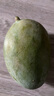 壹萌果蔬金煌芒芒果 當(dāng)季現(xiàn)摘廣西大芒果新鮮水果青皮芒果整箱送禮 9斤手挑果【單果300g+】 凈8斤 曬單實(shí)拍圖
