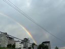 揚(yáng)子風(fēng)扇電風(fēng)扇桌面小風(fēng)扇大扇面25年新款辦公室臺(tái)式循環(huán)扇學(xué)生宿舍床上用廚房大風(fēng)力便攜風(fēng)扇輕音搖頭 5葉綠色【1.3米線】 曬單實(shí)拍圖