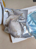 新鮮銀鯧魚 野生海捕銀鯧魚鮮活速凍冰鮮新鮮速凍鯧魚一整箱 3斤新鮮野生銀鯧魚 4-5條左右/斤 曬單實拍圖