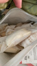 babycare一次性內褲山茶花孕產(chǎn)婦大碼日拋月子待產(chǎn) XL碼30條【安全滅菌】 曬單實拍圖