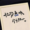 山澤 自鎖式尼龍?jiān)鷰√?hào)2.5*100mm 電腦裝機(jī) 園藝 桌面理線帶束線捆扎綁帶 黑色 約100根/包HZD-12 曬單實(shí)拍圖
