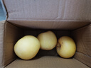 山東煙臺黃金奶油富士蘋(píng)果 奶油蘋(píng)果帶箱1斤2-4個(gè)果試吃裝 曬單實(shí)拍圖