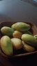 海南小臺農芒果新鮮現摘小臺芒應當季熱帶水果特產(chǎn)甜心熟芒果整箱 小果(爆甜多汁) 正宗海南小臺芒9斤 曬單實(shí)拍圖