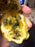 生鮮百香果特大果欽蜜9號(hào)孕婦新鮮水果雞蛋果 特價(jià)1斤裝單果40-50克中果-普郵 曬單實(shí)拍圖