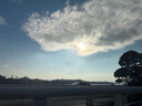 一只魚(yú)襪子男士7a級(jí)抗菌防臭春夏季運(yùn)動(dòng)襪短筒短襪休閑棉襪王寶強(qiáng)推薦 曬單實(shí)拍圖
