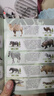 樂蓓富全套動物模型仿真玩具寶寶認知農(nóng)場動物園男女孩六一兒童節(jié)禮物 曬單實拍圖