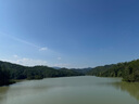 弭黎模仿會跳舞學(xué)說話的仙人掌安撫兒童毛絨玩具復(fù)讀網(wǎng)紅會扭搖擺哄娃 曬單實拍圖