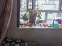 貝得力（BEIDELI）防撞條寶寶嬰幼兒防磕碰防護(hù)條免貼膠加寬加厚米色L型4米 曬單實拍圖