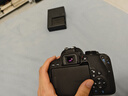 佳能（Canon）佳能 EOS 800D 80D 77D EOS 80D 800D 77D單反相機 家用旅游 800D單機身 官方標配 曬單實拍圖