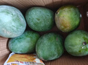 京鮮生 攀枝花凱特芒果 凈重9斤 單果400g+ 生鮮水果 源頭直發(fā) 曬單實(shí)拍圖
