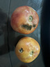 正宗沙瓤西紅柿水果番茄自然熟新鮮蔬菜生鮮減肥 1斤 凈重 曬單實(shí)拍圖