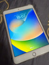 Apple 蘋果 iPad Mini 2/3/4/5/6/7代 2022/2021款 二手平板電腦 iPad mini5 曬單實拍圖
