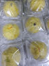 頌尚福鮮菜菜團子 黃金團子粗糧膳食雜糧包子窩頭早餐早點(diǎn)速食加熱即食 8個(gè)裝-油菜香菇 曬單實(shí)拍圖