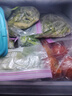 溝門前山西特產(chǎn)小吃柳林碗團碗托 碗禿面皮蕎麥涼皮方便速食 160克*10碗 10碗大禮包 曬單實拍圖