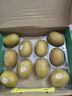 佳沛（zespri）新西蘭  陽光金奇異果10粒禮盒巨大果單果約144-175g 水果 獼猴桃 曬單實拍圖